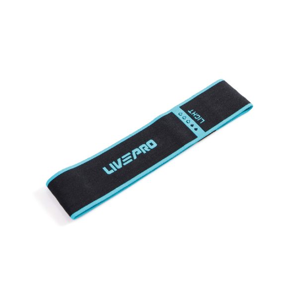 Miniband light
